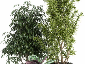 Plants collection 111 3D Model