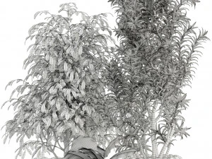 Plants collection 111 3D Model