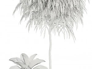 Plants collection 111 3D Model