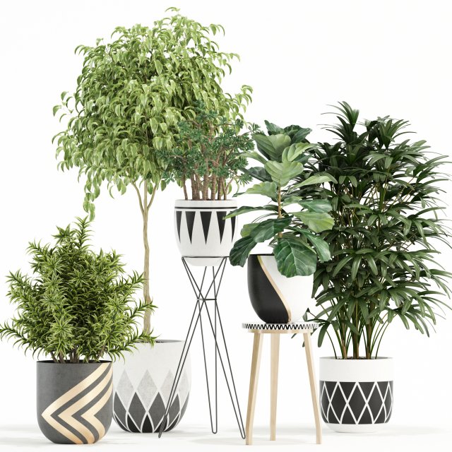 Plants collection 112 3D Model .c4d .max .obj .3ds .fbx .stl .blend 