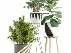 Plants collection 112 3D Model