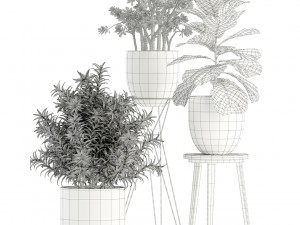 Plants collection 112 3D Model