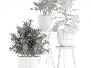 Plants collection 112 3D Model