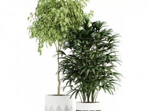 Plants collection 112 3D Model