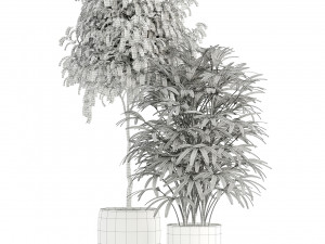 Plants collection 112 3D Model