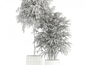Plants collection 112 3D Model