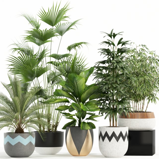Plants collection 113 Model 3D .c4d .max .obj .3ds .fbx .stl .blend 
