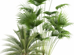 Plants collection 113 Model 3D