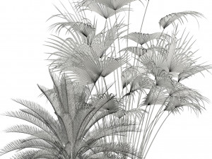 Plants collection 113 Model 3D