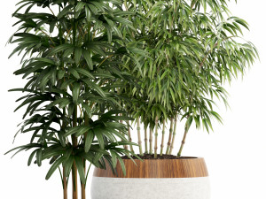 Plants collection 113 Model 3D