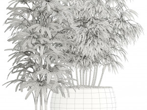 Plants collection 113 Model 3D