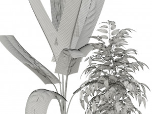 Plants collection 114 3D Model