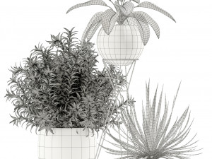 Plants collection 114 3D Model