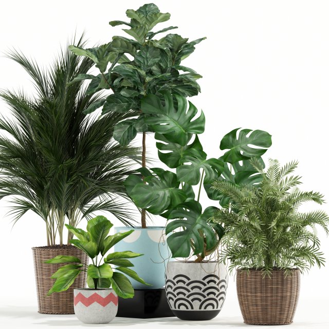 Plants collection 115 3D 模型 .c4d .max .obj .3ds .fbx .stl .blend 