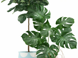 Plants collection 115 3D 模型