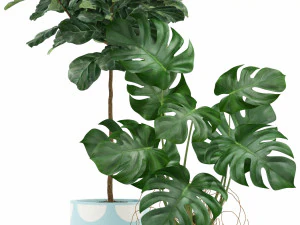 Plants collection 115 3D Model
