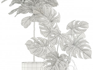 Plants collection 115 3D 模型