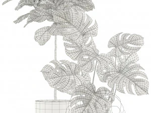Plants collection 115 3D Model