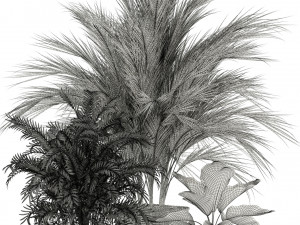 Plants collection 115 3D 模型
