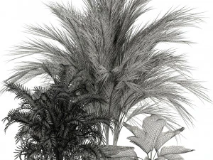 Plants collection 115 3D Model