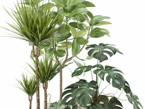 Plants collection 116 3D Model