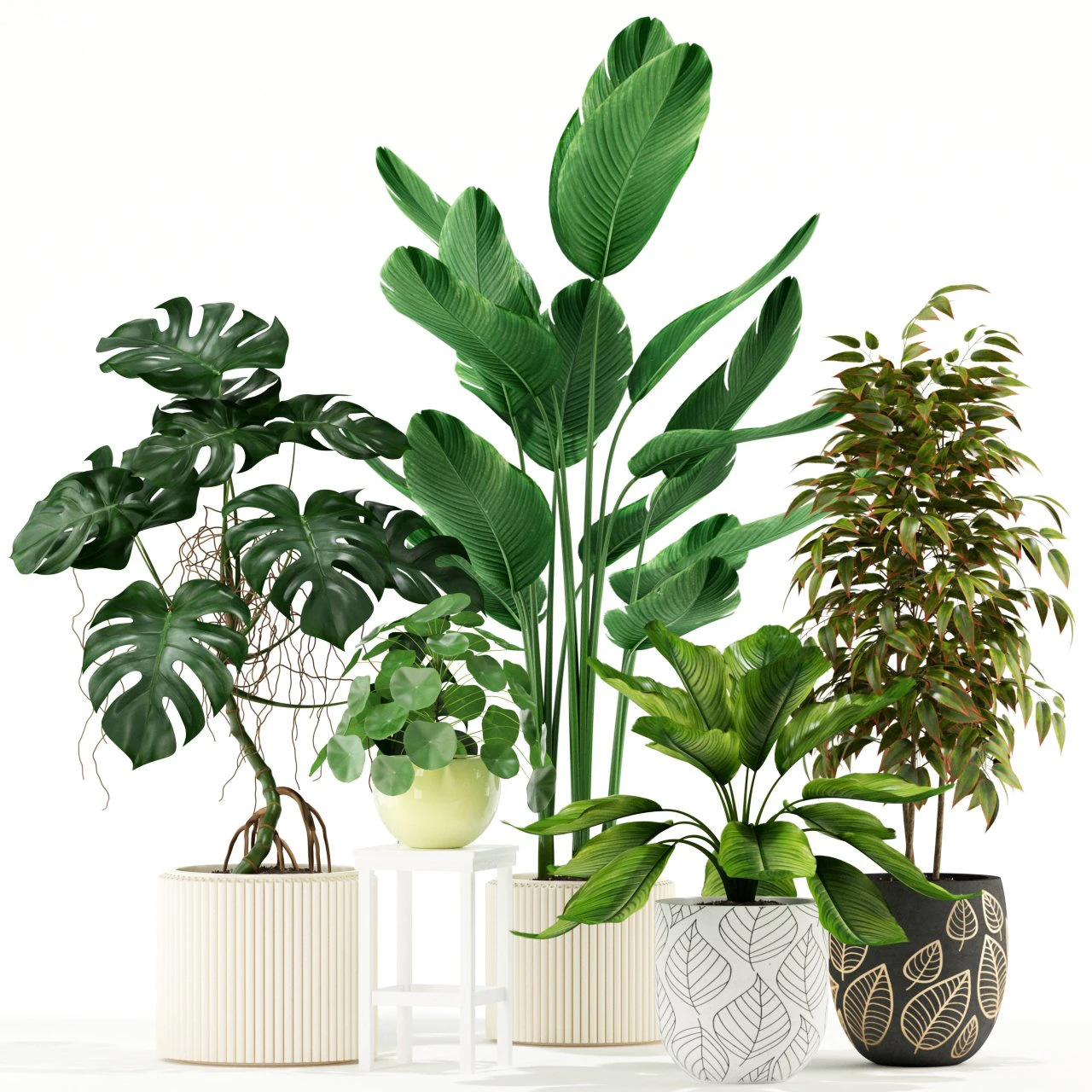 Plants collection 117 3D Model .c4d .max .obj .3ds .fbx .stl .blend 