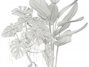 Plants collection 117 3D 模型