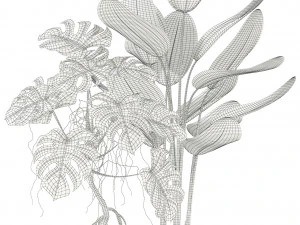 Plants collection 117 3D Model