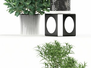 Plants collection 118 3D Модель