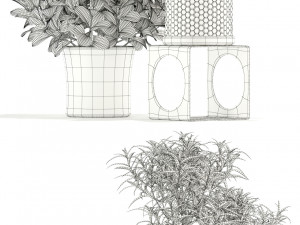 Plants collection 118 3D Модель