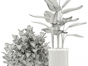 Plants collection 118 3D Модель