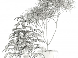 Plants collection 118 3D Модель