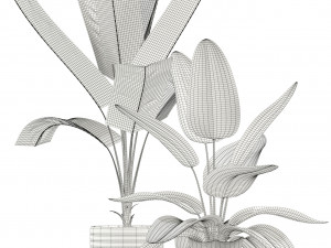 Plants collection 119 Modelo 3D
