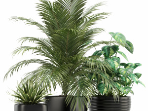 Plants collection 119 Modelo 3D