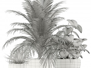 Plants collection 119 Modelo 3D
