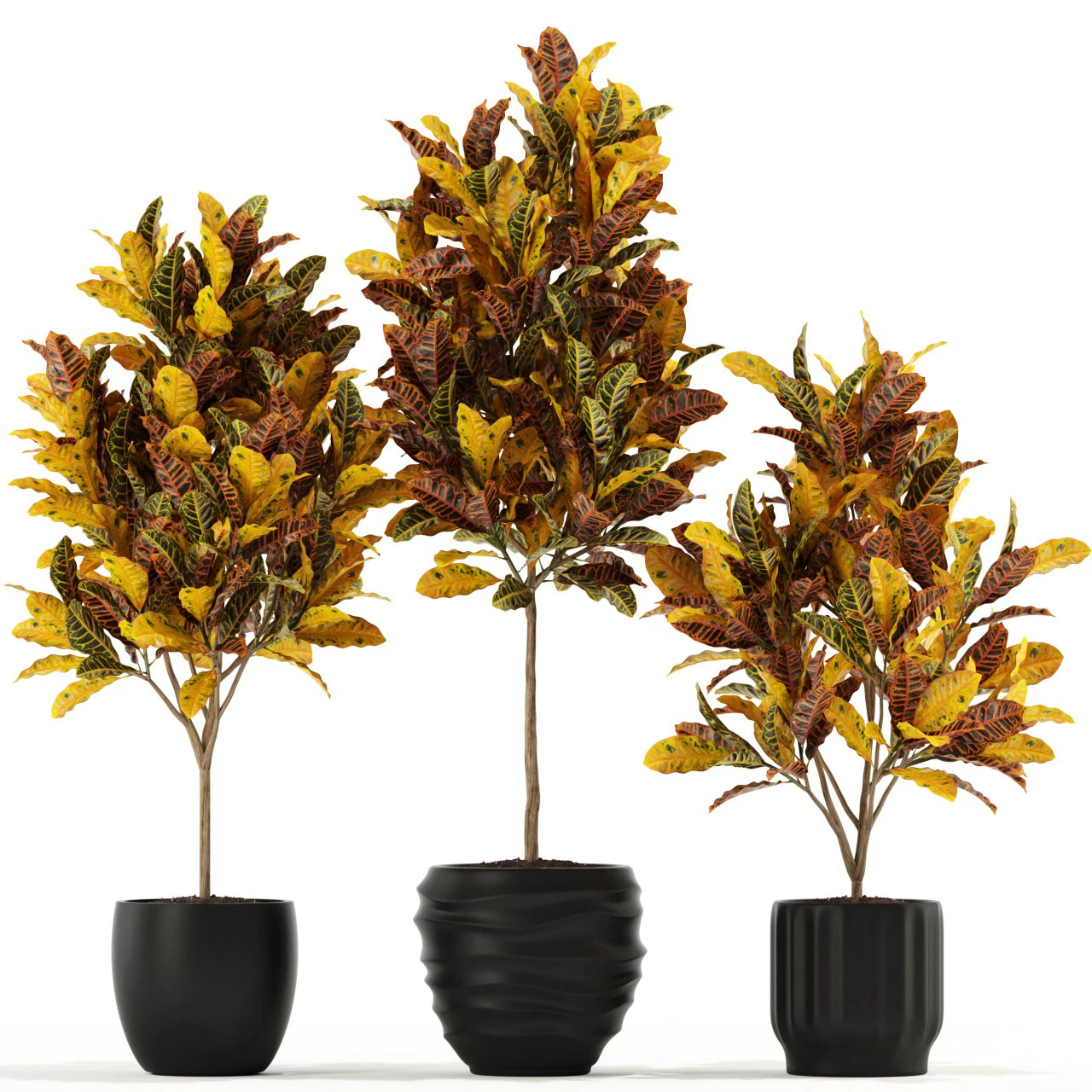 Plants collection 120 3D Model .c4d .max .obj .3ds .fbx .stl .blend 