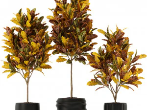 Cole&ccedil;&atilde;o de plantas 120 Modelo 3D