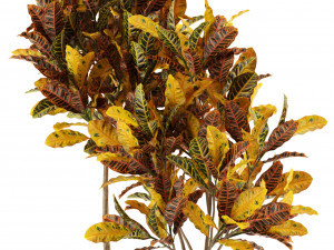 Plants collection 120 3Dモデル