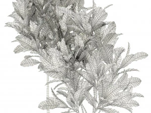 Plants collection 120 3D Model