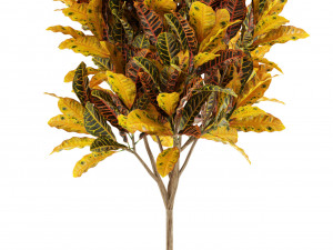 Plants collection 120 3Dモデル