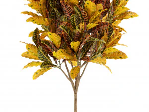 Plants collection 120 3D Model