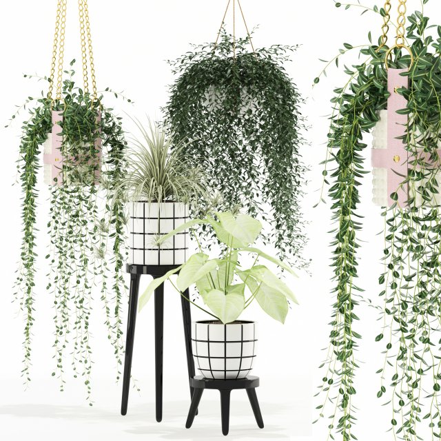 Plants collection 121 3D-Modell .c4d .max .obj .3ds .fbx .stl .blend 