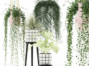 Bitki koleksiyonu 121 3D Model