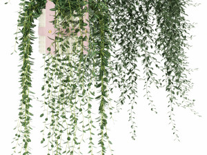 Plants collection 121 3D-Modell