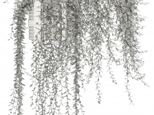 Plants collection 121 3D-Modell