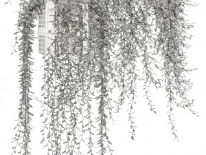 Plants collection 121 3D Model
