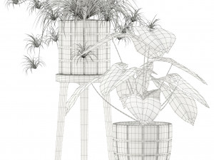 Plants collection 121 3D-Modell