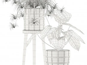 Plants collection 121 3D Model