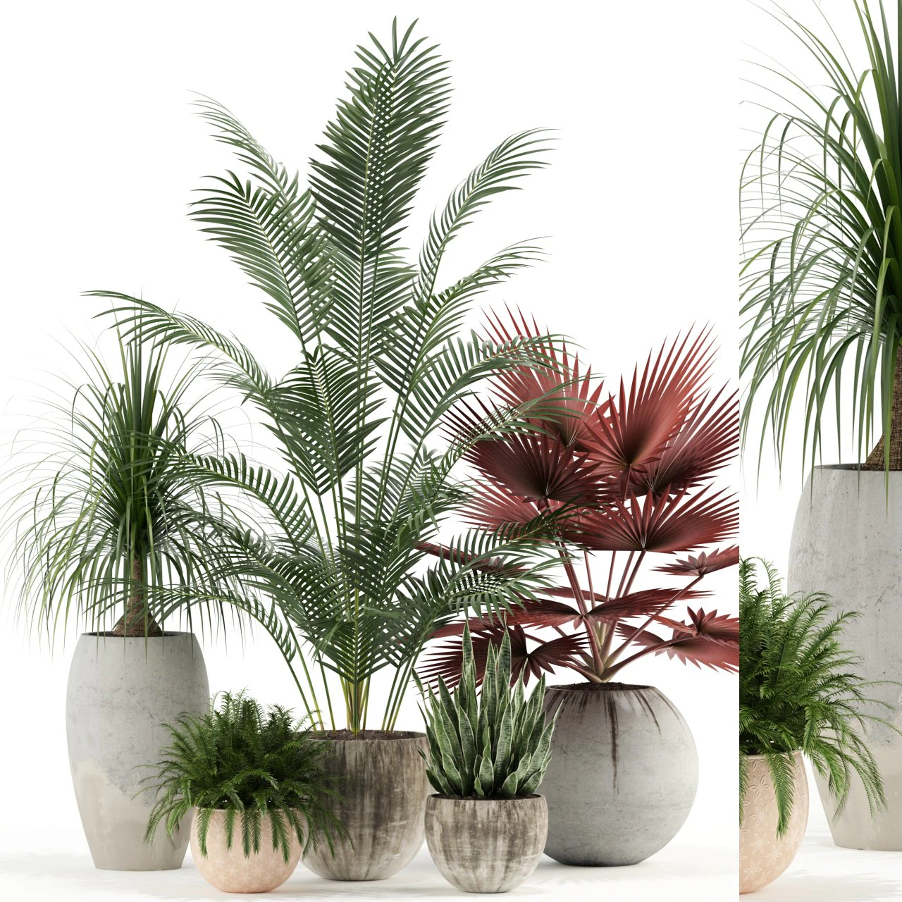 Plants collection 122 3D Model .c4d .max .obj .3ds .fbx .stl .blend 