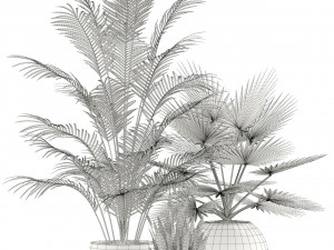 Plants collection 122 Model 3D